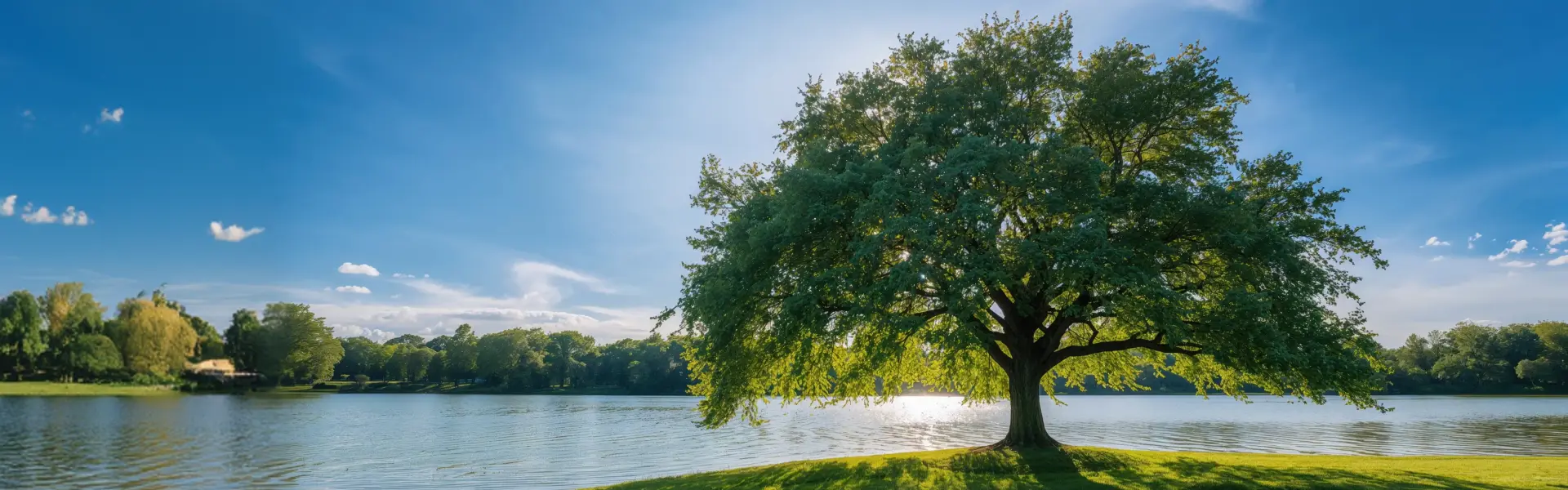 Antecedentes del héroe