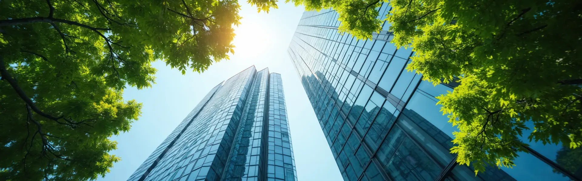 Antecedentes del héroe