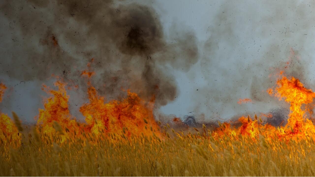 Une maison partiellement submergée avec un toit rouge et des cheminées, entourée d'eaux de crue et d'arbres épars. L'eau calme reflète le ciel couvert, créant une atmosphère sombre qui souligne l'impact des inondations sur les zones résidentielles.